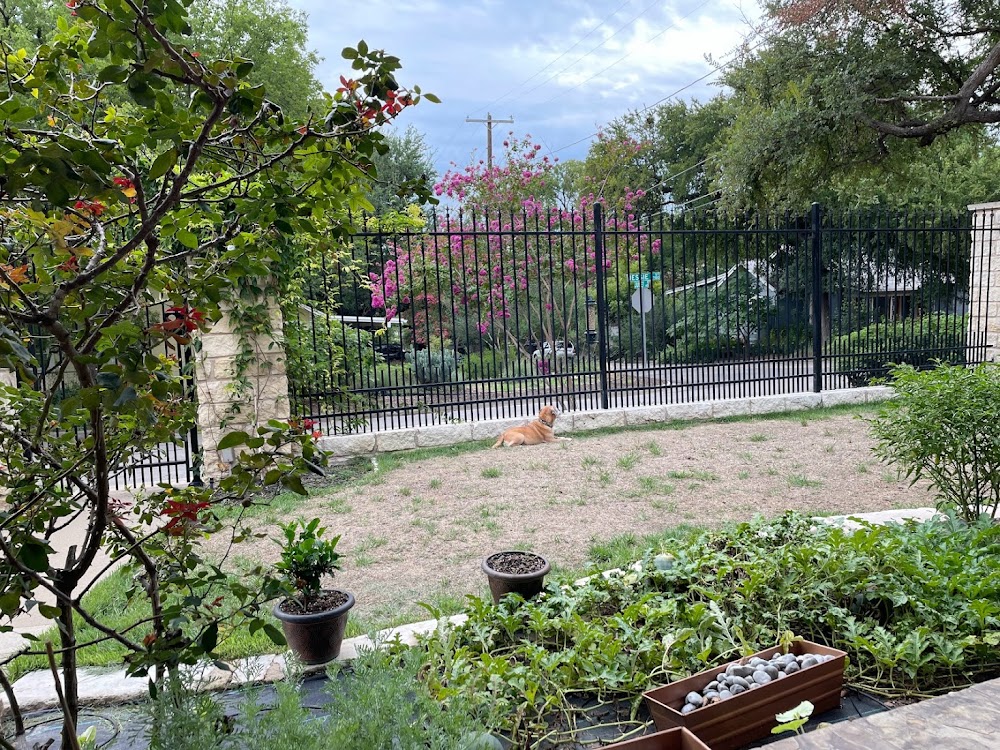 BLOOMING SEASONS - Lawn Care & Landscape Services