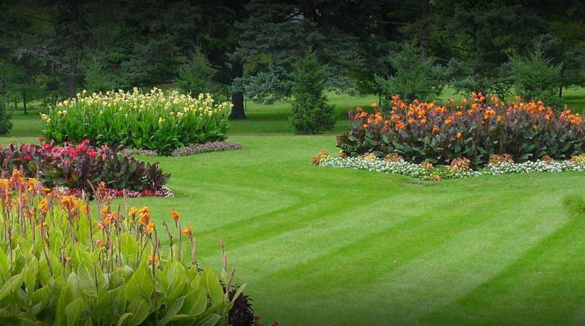 Affordable Lawn Maintenance