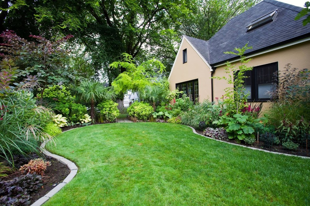 Focus Landscaping