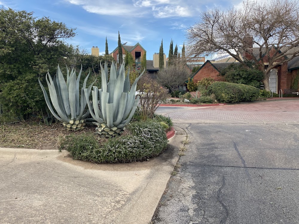 U.S. Lawns - Austin West