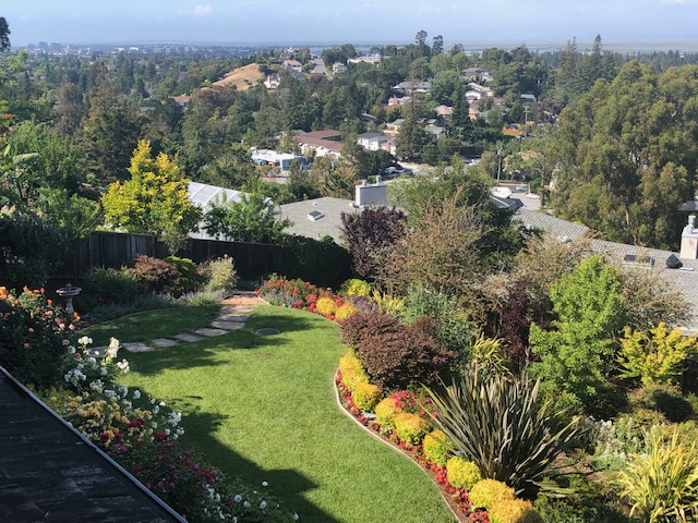 Best Tex Gardens