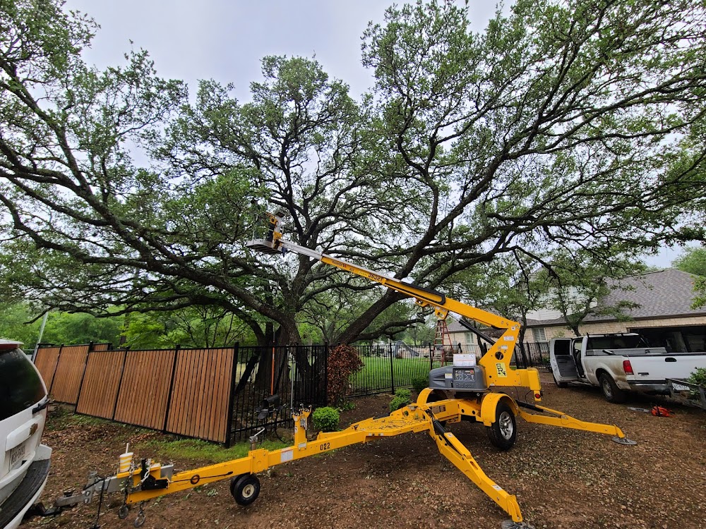 Texas Tree Experts